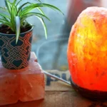the salt lamps